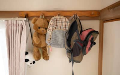 Changing a Shared Care Arrangement in Scotland: Lessons from a Recent Hamilton Case